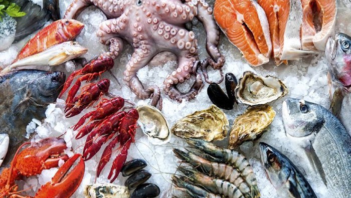 Logistics for Vietnamese seafood exports