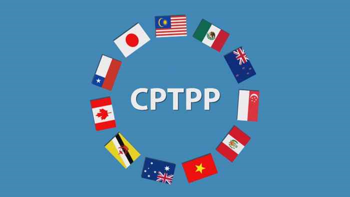 CPTPP LÀ GÌ – HIỆP ĐỊNH ĐỐI TÁC XUYÊN THÁI BÌNH DƯƠNG