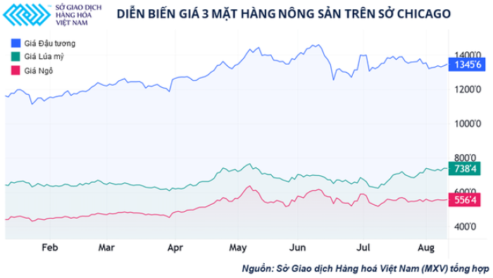 Các nhà đầu tư nông sản đang kỳ vọng điều gì trước báo cáo quan trọng của Bộ nông nghiệp Mỹ?