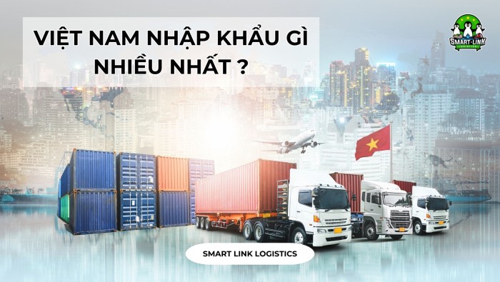 VIỆT NAM NHẬP KHẨU GÌ NHIỀU NHẤT ?