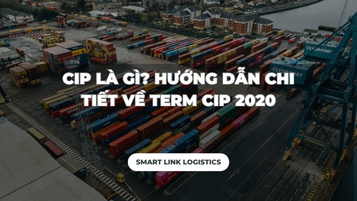 CIP LÀ GÌ? HƯỚNG DẪN CHI TIẾT VỀ TERM CIP 2020