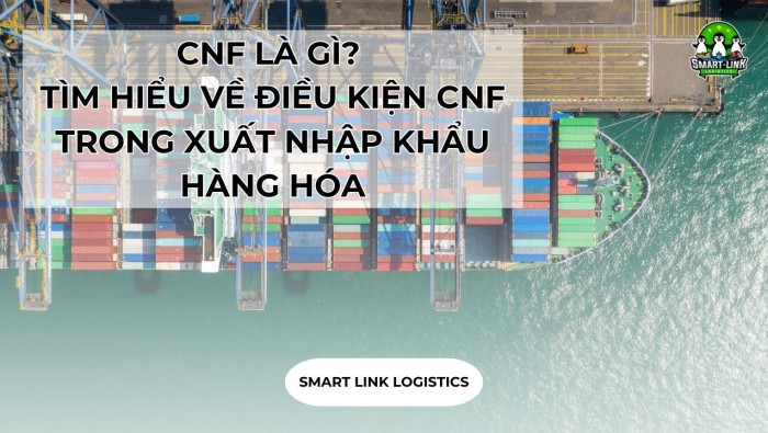 CNF LÀ GÌ? TÌM HIỂU VỀ ĐIỀU KIỆN CNF TRONG XUẤT NHẬP KHẨU HÀNG HÓA