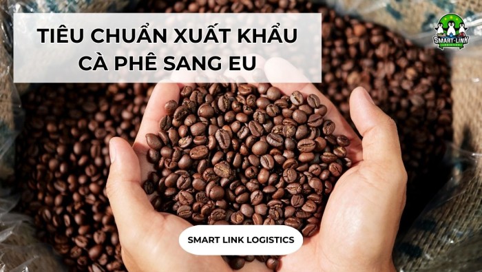 TIÊU CHUẨN XUẤT KHẨU CÀ PHÊ SANG EU