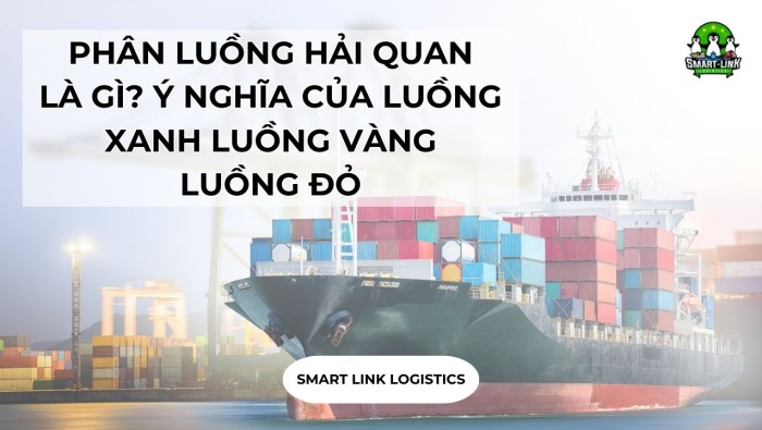 PHÂN LUỒNG HẢI QUAN LÀ GÌ? Ý NGHĨA CỦA LUỒNG XANH LUỒNG VÀNG LUỒNG ĐỎ