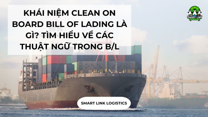 KHÁI NIỆM CLEAN ON BOARD BILL OF LADING LÀ GÌ? TÌM HIỂU VỀ CÁC THUẬT NGỮ TRONG B/L