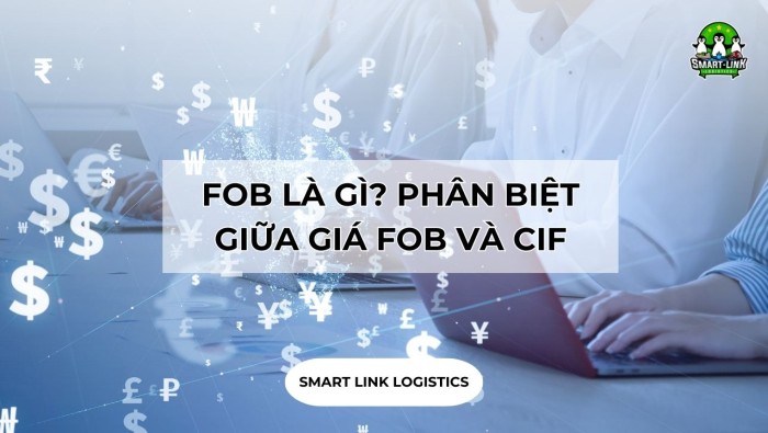 FOB LÀ GÌ? PHÂN BIỆT GIỮA GIÁ FOB VÀ CIF