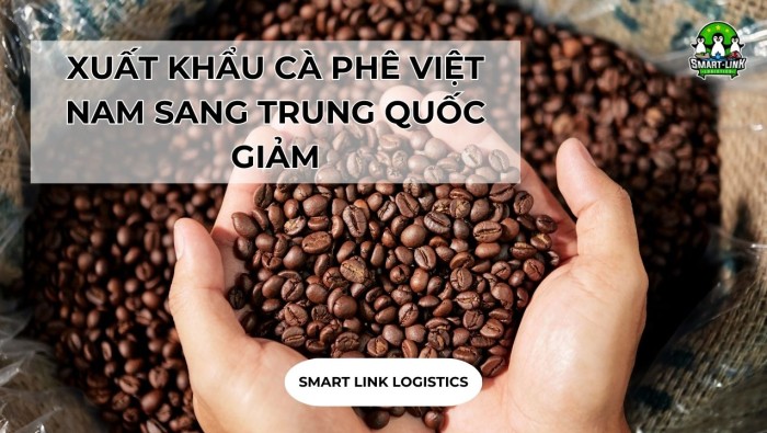 XUẤT KHẨU CÀ PHÊ VIỆT NAM SANG TRUNG QUỐC GIẢM