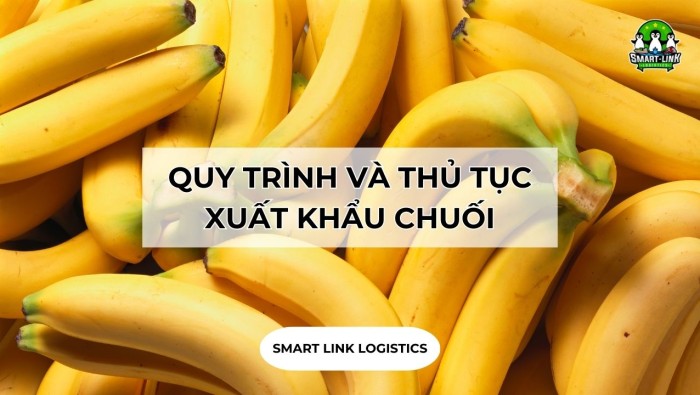 QUY TRÌNH VÀ THỦ TỤC XUẤT KHẨU CHUỐI SANG TRUNG QUỐC, HÀN QUỐC, NHẬT BẢN…