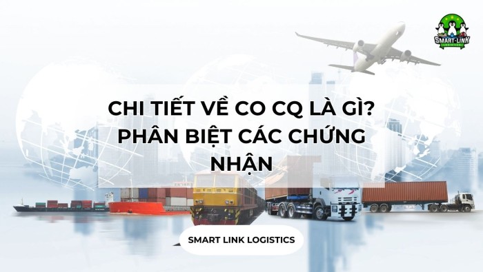 CHI TIẾT VỀ CO CQ LÀ GÌ? PHÂN BIỆT CÁC CHỨNG NHẬN