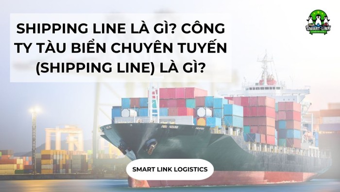 SHIPPING LINE LÀ GÌ? CÔNG TY TÀU BIỂN CHUYÊN TUYẾN (SHIPPING LINE) LÀ GÌ?