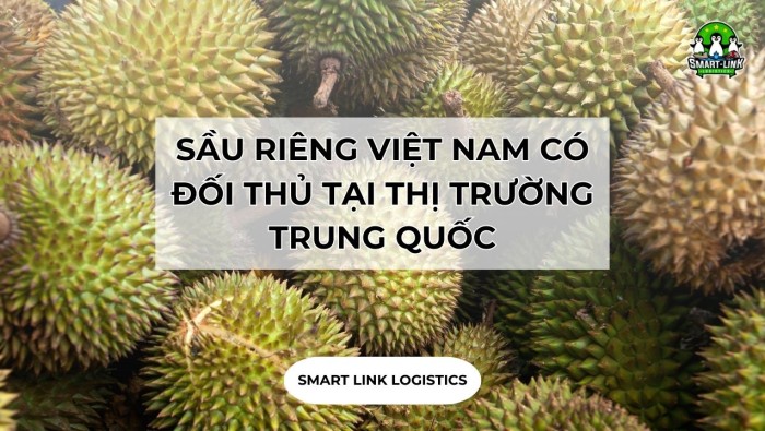 SẦU RIÊNG VIỆT NAM CÓ ĐỐI THỦ TẠI THỊ TRƯỜNG TRUNG QUỐC