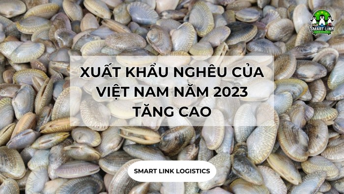 XUẤT KHẨU NGHÊU CỦA VIỆT NAM NĂM 2023 TĂNG CAO