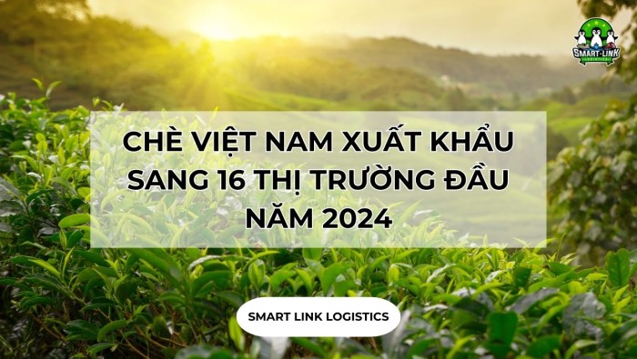 CHÈ VIỆT NAM XUẤT KHẨU SANG 16 THỊ TRƯỜNG ĐẦU NĂM 2024