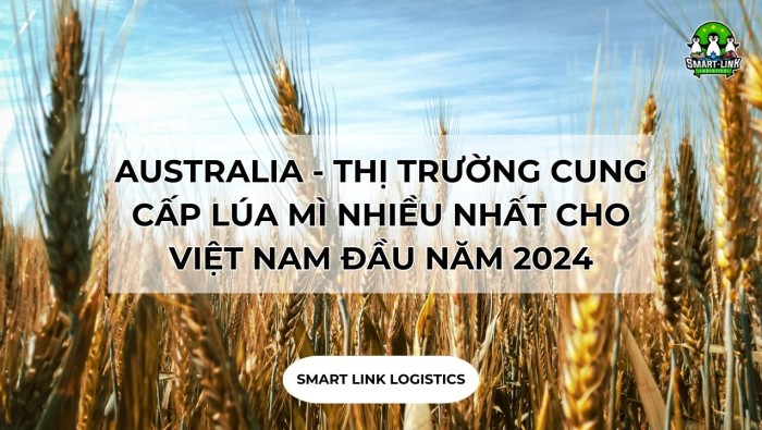AUSTRALIA – THỊ TRƯỜNG CUNG CẤP LÚA MÌ NHIỀU NHẤT CHO VIỆT NAM ĐẦU NĂM 2024