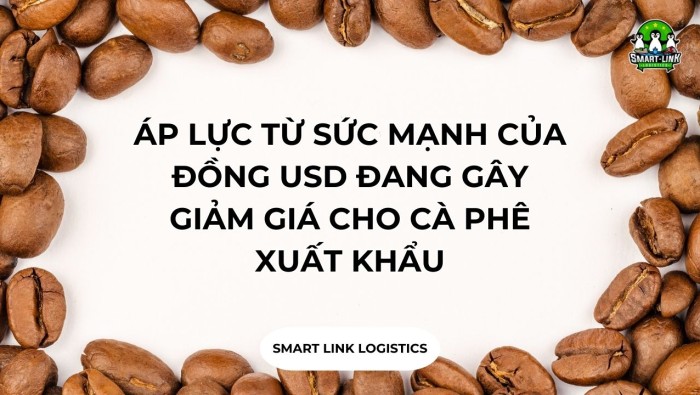 ÁP LỰC TỪ SỨC MẠNH CỦA ĐỒNG USD ĐANG GÂY GIẢM GIÁ CHO CÀ PHÊ XUẤT KHẨU