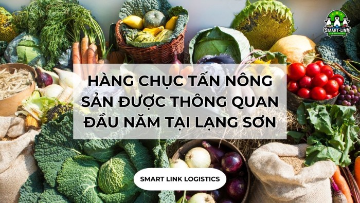 HÀNG CHỤC TẤN NÔNG SẢN ĐƯỢC THÔNG QUAN ĐẦU NĂM TẠI LẠNG SƠN