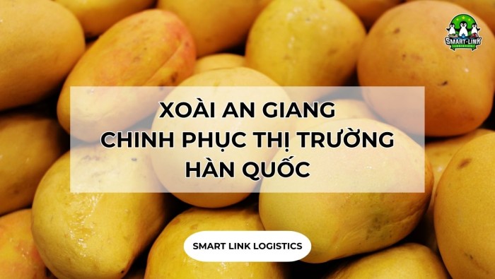 XOÀI AN GIANG CHINH PHỤC THỊ TRƯỜNG HÀN QUỐC: ĐỘNG LỰC MẠNH MẼ TỪ XUẤT KHẨU NÔNG SẢN