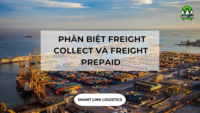 FREIGHT COLLECT LÀ GÌ? PHÂN BIỆT FREIGHT COLLECT VÀ FREIGHT PREPAID