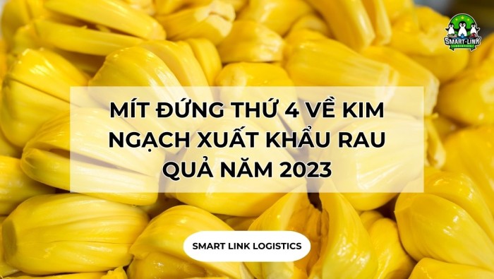 MÍT ĐỨNG THỨ 4 VỀ KIM NGẠCH XUẤT KHẨU RAU QUẢ NĂM 2023