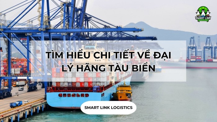 TÌM HIỂU CHI TIẾT VỀ ĐẠI LÝ HÃNG TÀU BIỂN