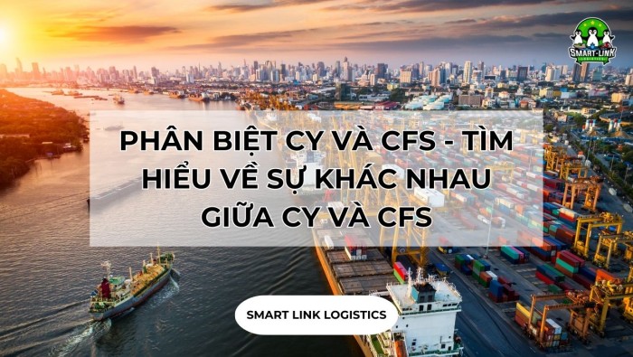 PHÂN BIỆT CY VÀ CFS – TÌM HIỂU VỀ SỰ KHÁC NHAU GIỮA CY VÀ CFS