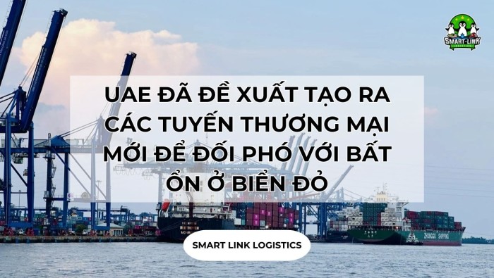 UAE ĐÃ ĐỀ XUẤT VIỆC TẠO RA CÁC TUYẾN THƯƠNG MẠI MỚI ĐỂ ĐỐI PHÓ VỚI TÌNH TRẠNG BẤT ỔN Ở BIỂN ĐỎ