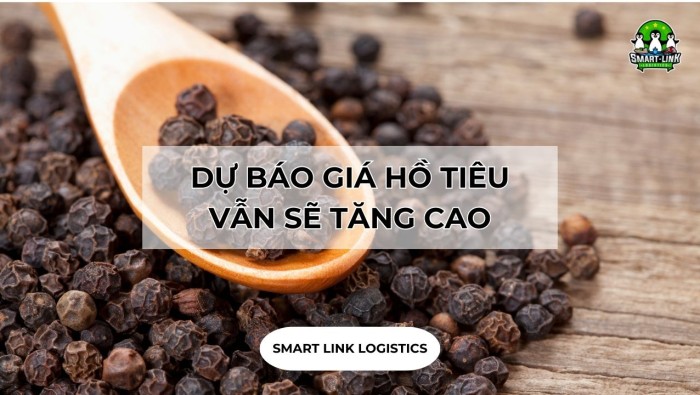 DỰ BÁO GIÁ HỒ TIÊU VẪN SẼ TĂNG CAO