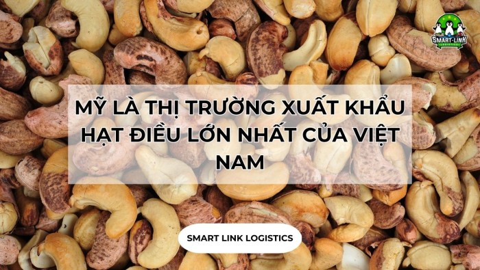 MỸ LÀ THỊ TRƯỜNG XUẤT KHẨU HẠT ĐIỀU LỚN NHẤT CỦA VIỆT NAM