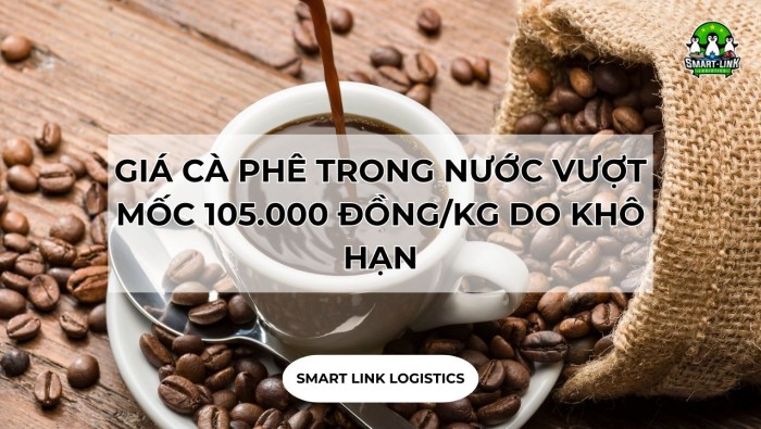 GIÁ CÀ PHÊ TRONG NƯỚC VƯỢT MỐC 105.000 ĐỒNG/KG DO KHÔ HẠN