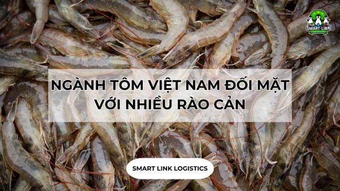 NGÀNH TÔM VIỆT NAM ĐỐI MẶT VỚI NHIỀU RÀO CẢN