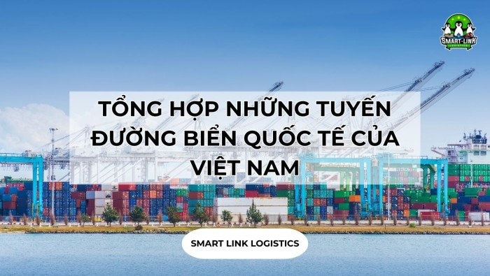 TỔNG HỢP NHỮNG TUYẾN ĐƯỜNG BIỂN QUỐC TẾ CỦA VIỆT NAM