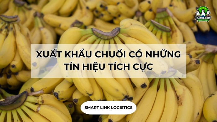 XUẤT KHẨU CHUỐI CÓ NHỮNG TÍN HIỆU TÍCH CỰC