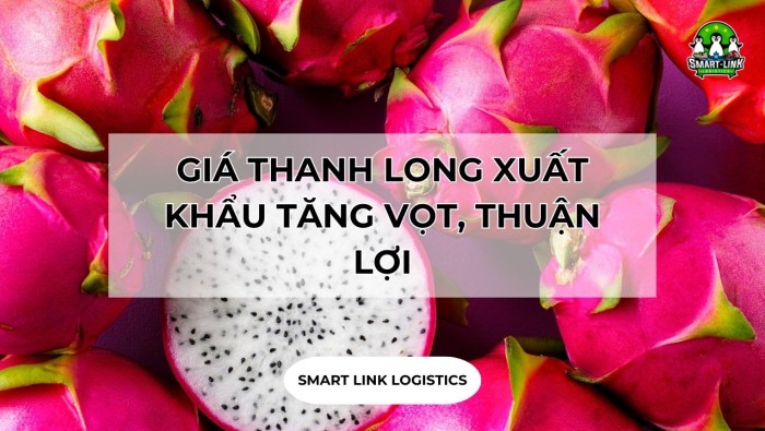 GIÁ THANH LONG XUẤT KHẨU TĂNG VỌT, THUẬN LỢI