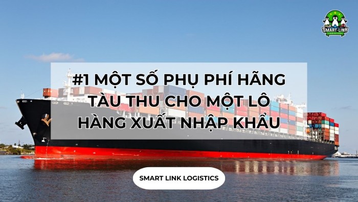 #1 MỘT SỐ PHỤ PHÍ HÃNG TÀU THU CHO MỘT LÔ HÀNG XUẤT NHẬP KHẨU