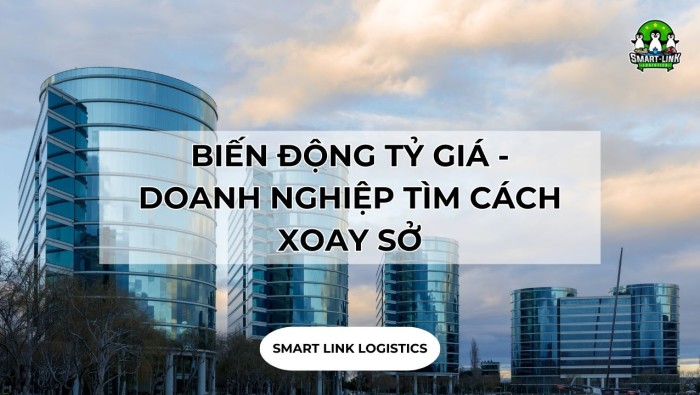 BIẾN ĐỘNG TỶ GIÁ – DOANH NGHIỆP TÌM CÁCH XOAY SỞ