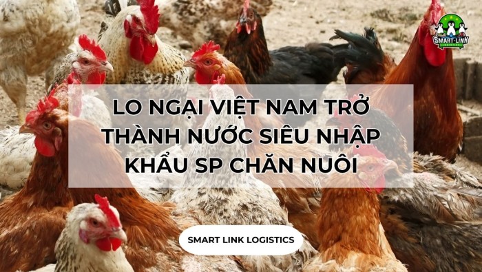 LO NGẠI VIỆT NAM SẼ TRỞ THÀNH NƯỚC SIÊU NHẬP KHẨU CÁC SẢN PHẨM CHĂN NUÔI