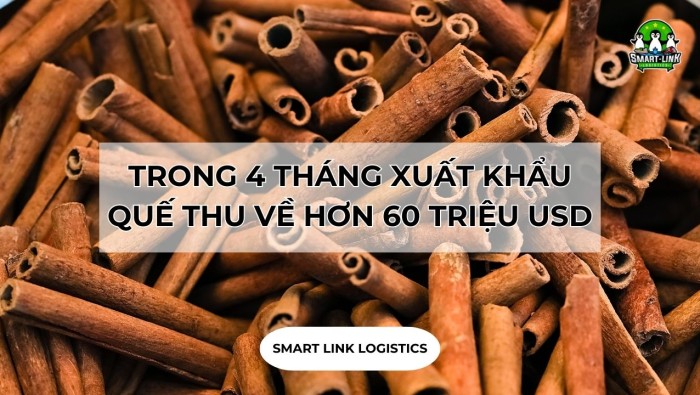 TRONG 4 THÁNG XUẤT KHẨU QUẾ THU VỀ HƠN 60 TRIỆU USD