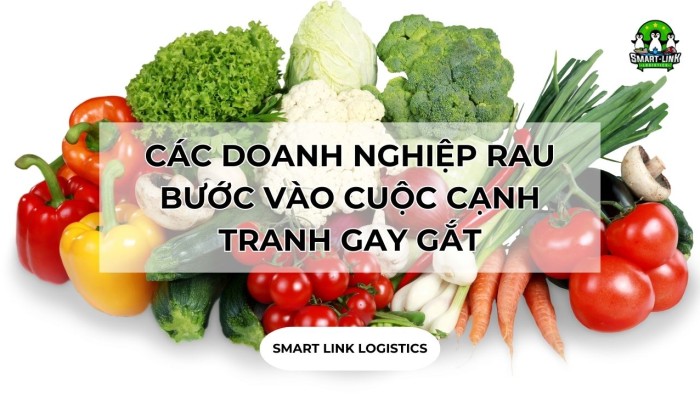 CÁC DOANH NGHIỆP RAU BƯỚC VÀO CUỘC CẠNH TRANH GAY GẮT