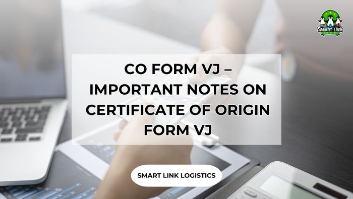 CO FORM VJ – IMPORTANT NOTES ON CERTIFICATE OF ORIGIN FORM VJ