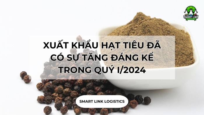 XUẤT KHẨU HẠT TIÊU SANG THỊ TRƯỜNG HÀN QUỐC ĐÃ CÓ SỰ TĂNG ĐÁNG KỂ TRONG QUÝ I/2024