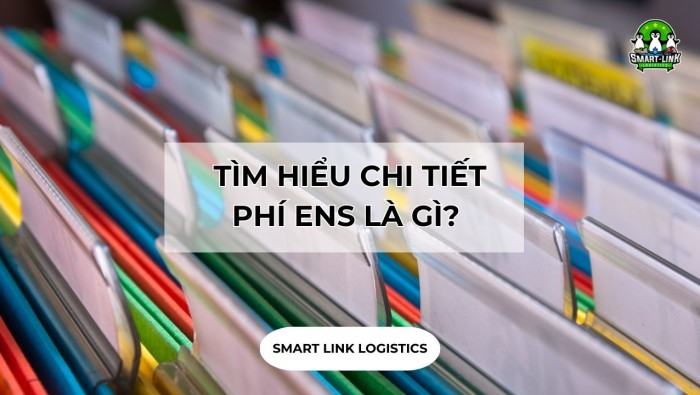 TÌM HIỂU CHI TIẾT PHÍ ENS LÀ GÌ? 