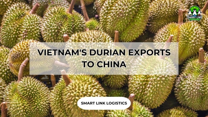 VIETNAM’S DURIAN EXPORTS TO CHINA