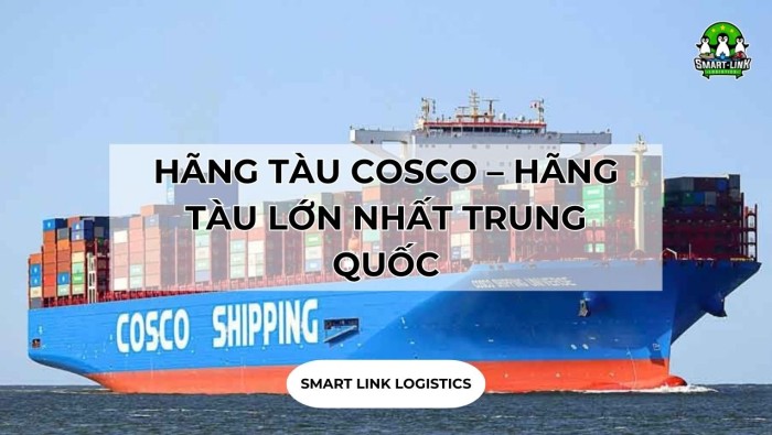 HÃNG TÀU COSCO – HÃNG TÀU LỚN NHẤT TRUNG QUỐC