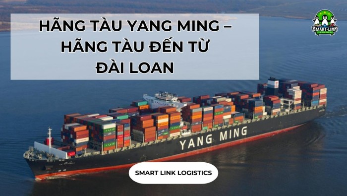 HÃNG TÀU YANG MING – HÃNG TÀU ĐẾN TỪ ĐÀI LOAN