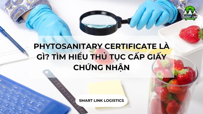 PHYTOSANITARY CERTIFICATE LÀ GÌ? TÌM HIỂU THỦ TỤC CẤP GIẤY CHỨNG NHẬN