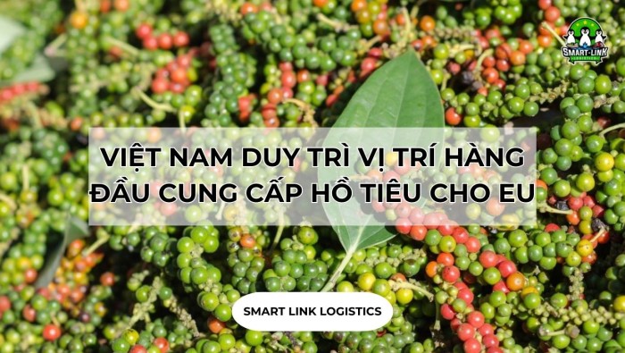 VIỆT NAM DUY TRÌ VỊ TRÍ HÀNG ĐẦU CUNG CẤP HỒ TIÊU CHO EU