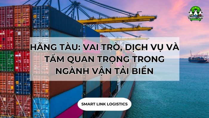 HÃNG TÀU: VAI TRÒ, DỊCH VỤ VÀ TẦM QUAN TRỌNG TRONG NGÀNH VẬN TẢI BIỂN