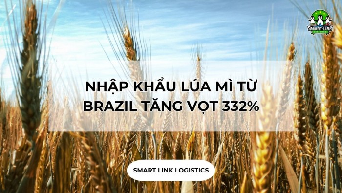 NHẬP KHẨU LÚA MÌ TỪ BRAZIL TĂNG VỌT 332%