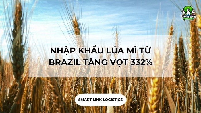 NHẬP KHẨU LÚA MÌ TỪ BRAZIL TĂNG VỌT 332%