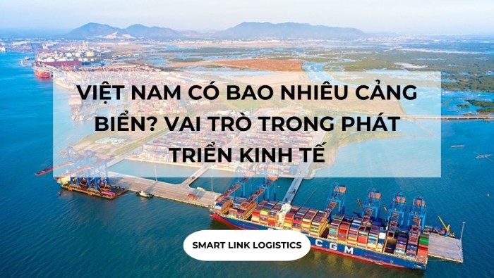 VIỆT NAM CÓ BAO NHIÊU CẢNG BIỂN ? VAI TRÒ TRONG PHÁT TRIỂN KINH TẾ